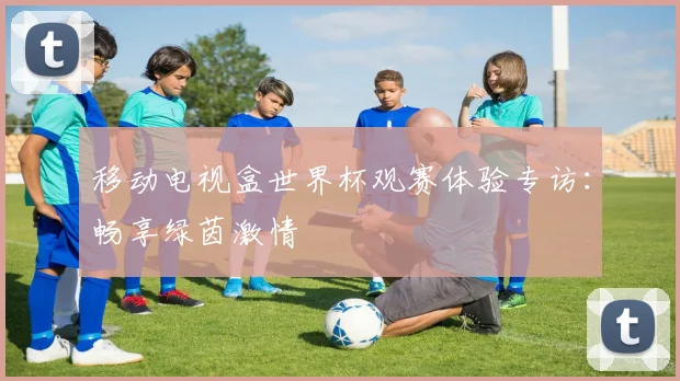 移动电视盒世界杯观赛体验专访:畅享绿茵激情