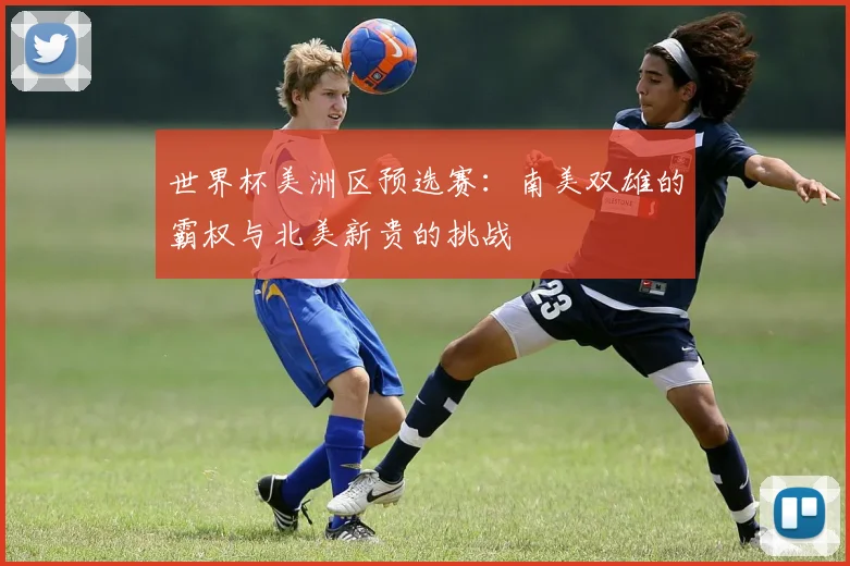世界杯美洲区预选赛：南美双雄的霸权与北美新贵的挑战