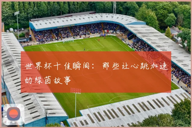 世界杯十佳瞬间：那些让心跳加速的绿茵故事