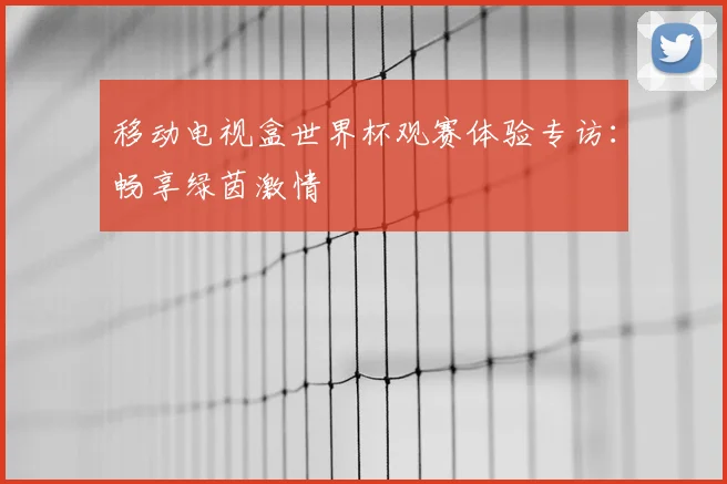 移动电视盒世界杯观赛体验专访:畅享绿茵激情